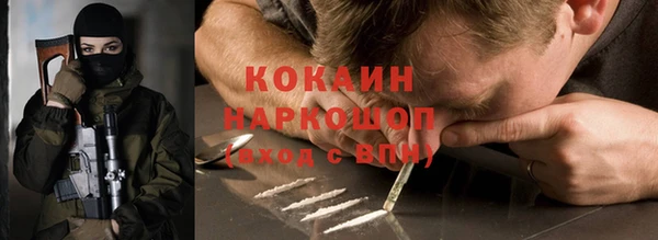твердый Инта