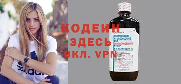 твердый Инта