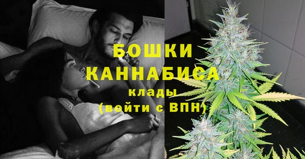 индика Зеленокумск