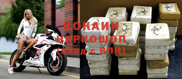 твердый Инта
