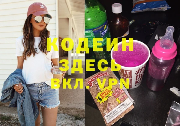 твердый Инта