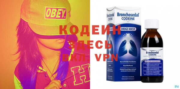 твердый Инта