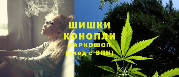 твердый Инта