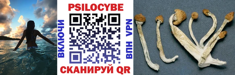 Псилоцибиновые грибы ЛСД  Кимовск 