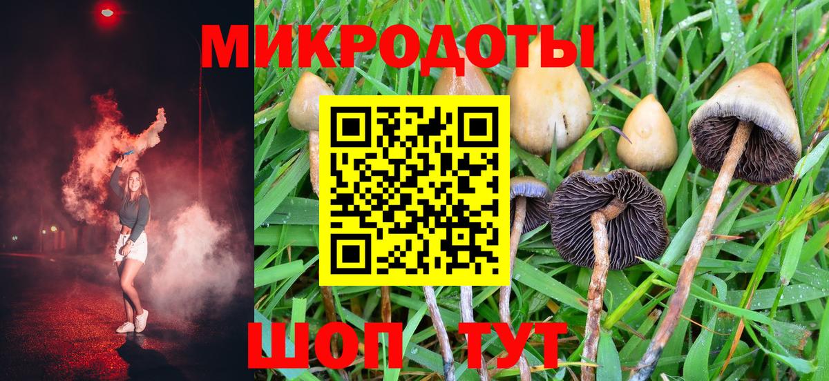 Псилоцибиновые грибы мухоморы  Вход с VPN  Кимовск 